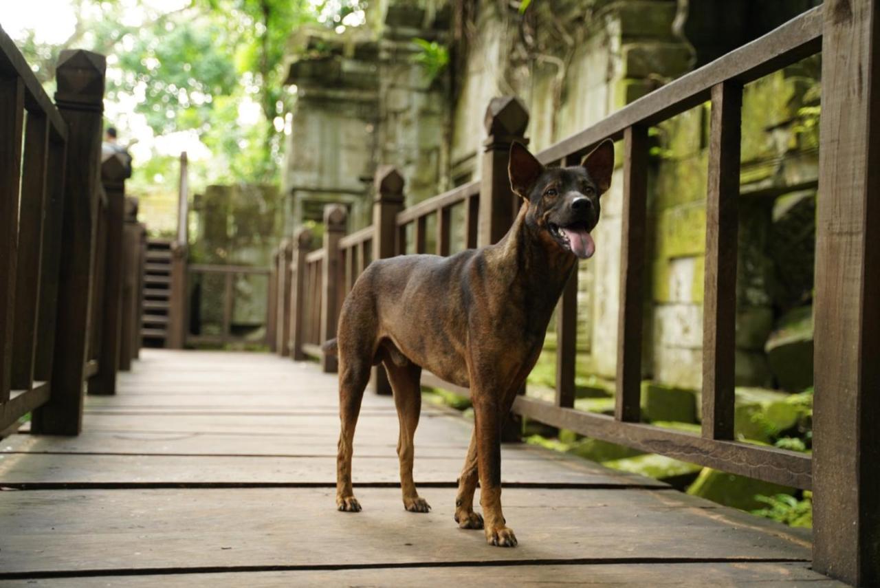 Den Hotel Totonou Siem Reap Eksteriør bilde
